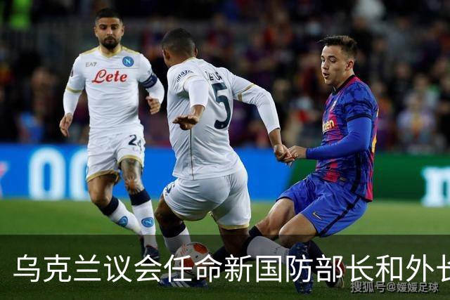乌克兰议会任命新国防部长和外长