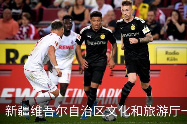 新疆维吾尔自治区文化和旅游厅一级巡视员余洁一行到访中国旅游协会
