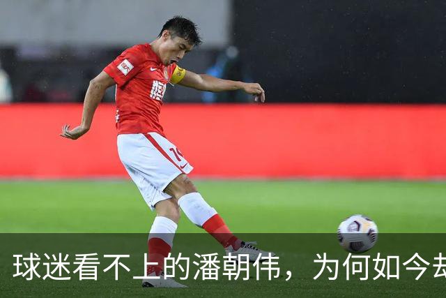 球迷看不上的潘朝伟，为何如今却被欧塞尔看中，背后原因找到了